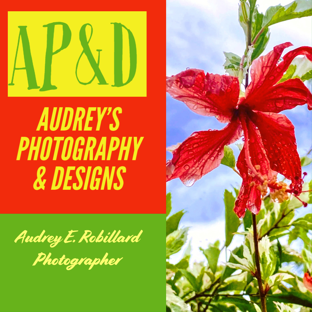 AUDREY ROBILLARD - Website